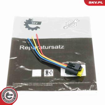 Kit de réparation de câble, pompe à carburant ESEN SKV OEM 172020255R