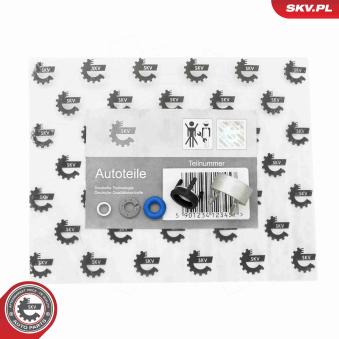 Jeux de bagues d'etanchéité, injecteur ESEN SKV 53SKV196