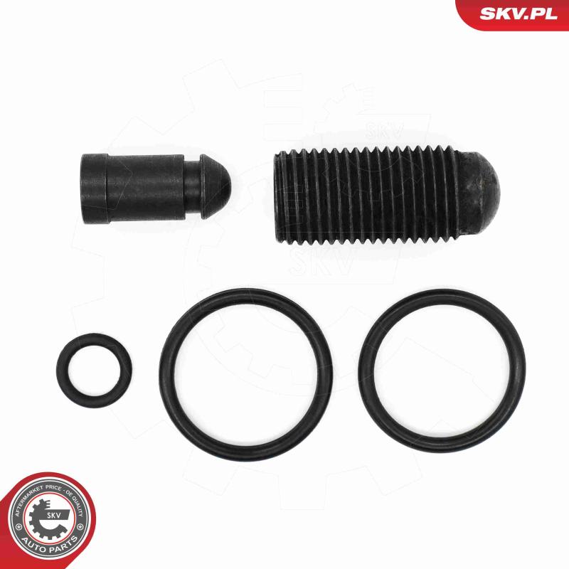 Kit de réparation, unité pompe-injecteur ESEN SKV 53SKV198 - Visuel 1