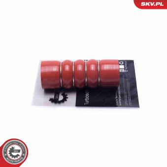 Gaine de suralimentation ESEN SKV 54SKV032 pour DS DS 3 1.6 THP 208 - 208cv