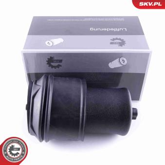 Ressort pneumatique, châssis ESEN SKV 58SKV022 pour CITROEN JUMPY 2.0 HDI 165 - 163cv