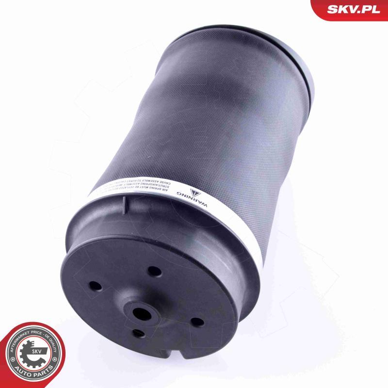 Ressort pneumatique, châssis ESEN SKV 58SKV025 - Visuel 1