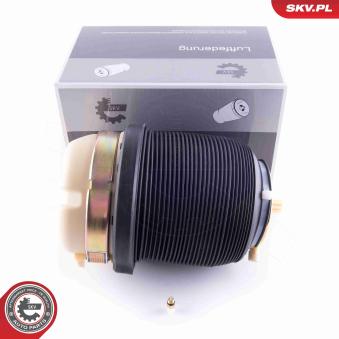 Ressort pneumatique, châssis ESEN SKV 58SKV029 pour AUDI A6 2.4 - 177cv
