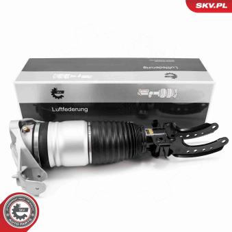 Armortisseur pneumatique ESEN SKV [58SKV703]