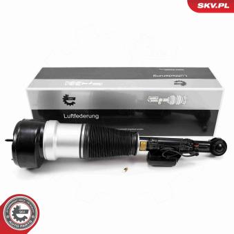 Armortisseur pneumatique ESEN SKV OEM A2213200538