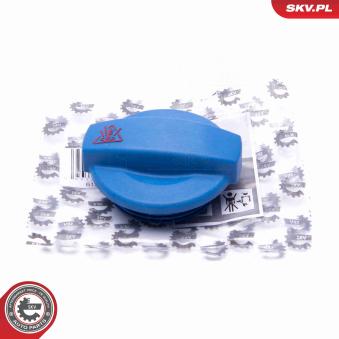 Bouchon, réservoir de liquide de refroidissement ESEN SKV 61SKV012 pour FORD FOCUS 1.9 TDI - 110cv