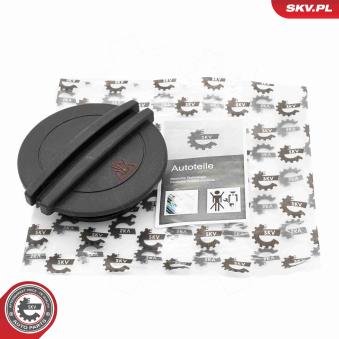 Bouchon, réservoir de liquide de refroidissement ESEN SKV 61SKV040 pour CHEVROLET CORVETTE 1.6 - 110cv
