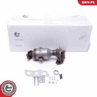Catalyseur ESEN SKV [62SKV001]