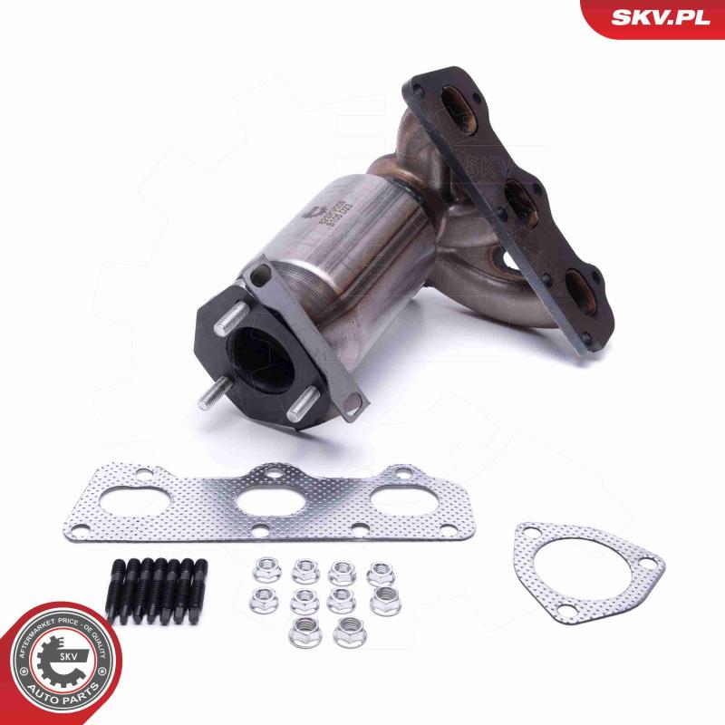 Catalyseur ESEN SKV 62SKV009 - Visuel 1