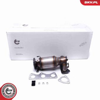 Catalyseur ESEN SKV 62SKV010