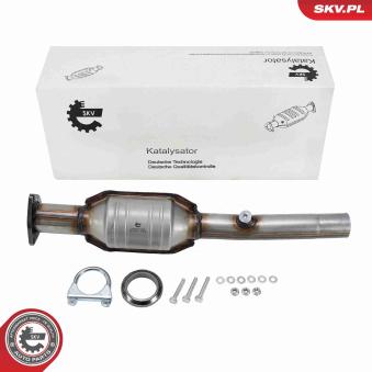 Catalyseur ESEN SKV [62SKV154]