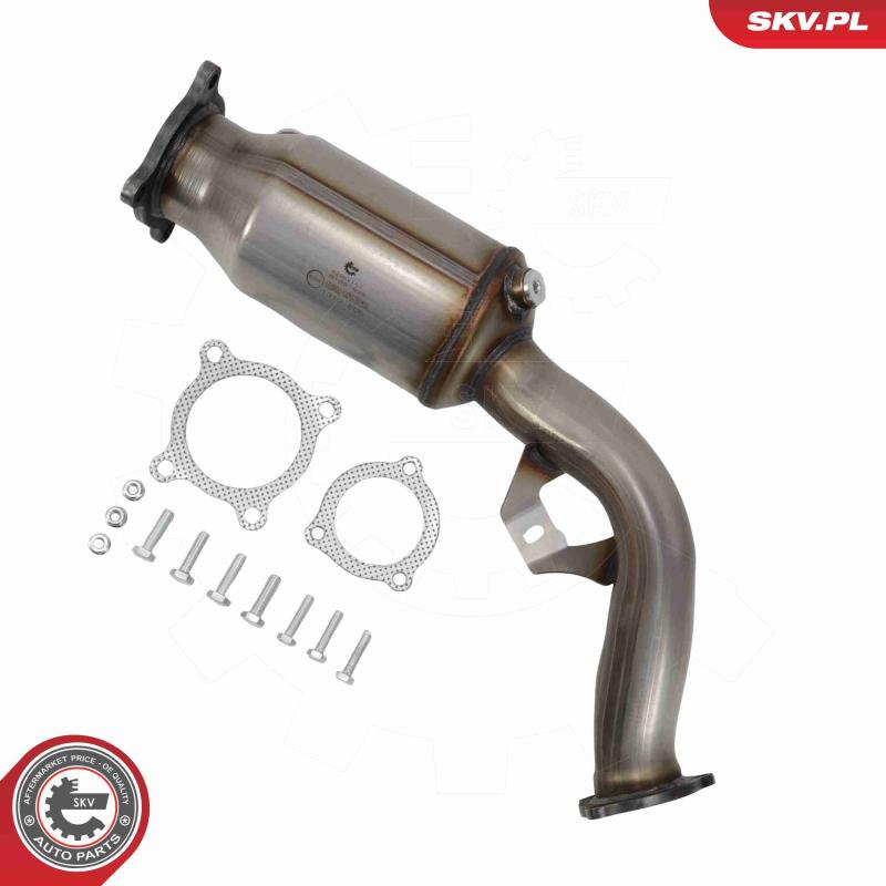 Catalyseur ESEN SKV 62SKV167 - Visuel 1