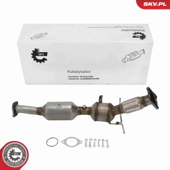 Catalyseur ESEN SKV [62SKV168]