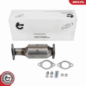 Catalyseur ESEN SKV [62SKV170]