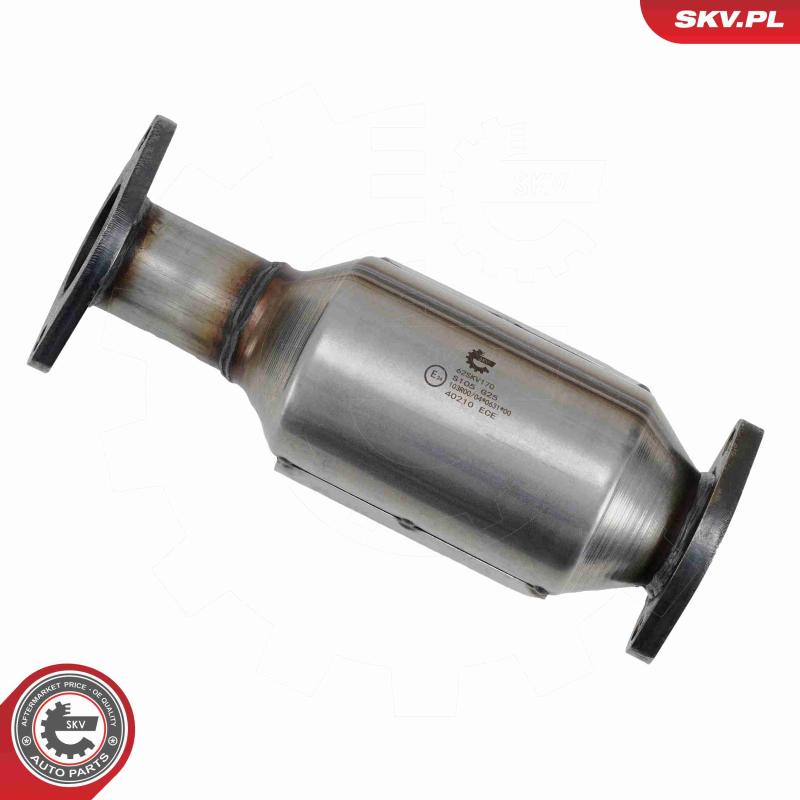 Catalyseur ESEN SKV 62SKV170 - Visuel 2