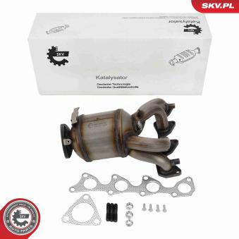 Catalyseur ESEN SKV [62SKV172]