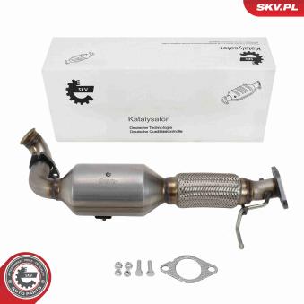 Catalyseur ESEN SKV [62SKV174]