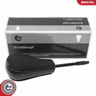 Pommeau de vitesses ESEN SKV 63SKV191 pour BMW Série 3 325 d - 197cv