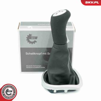 Pommeau ESEN SKV OEM 8200379950