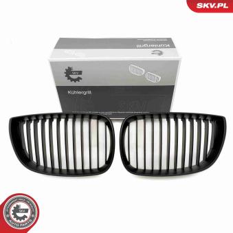 Grille de radiateur ESEN SKV 66SKV003 pour BMW Série 1 120 d - 177cv