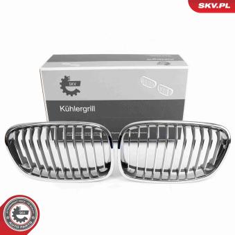 Grille de radiateur ESEN SKV 66SKV015 pour BMW Série 1 M 135 i - 320cv