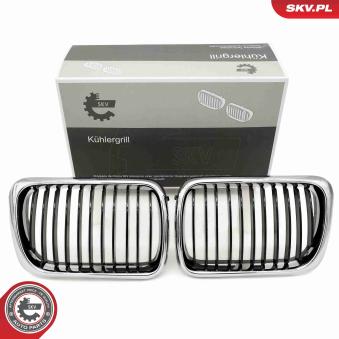 Grille de radiateur ESEN SKV 66SKV053 pour PEUGEOT PARTNER ORIGIN 320 i - 150cv