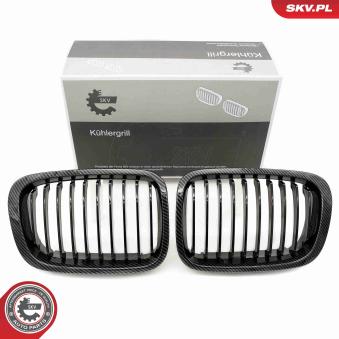 Grille de radiateur ESEN SKV 66SKV065