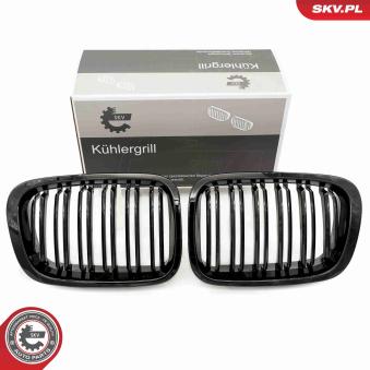 Grille de radiateur ESEN SKV 66SKV066 pour BMW Série 3 316 i - 105ch