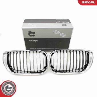 Grille de radiateur ESEN SKV 66SKV078 pour BMW Série 3 316 i - 105ch