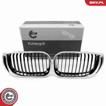 Grille de radiateur ESEN SKV 66SKV079 pour BMW Série 3 316 i - 105ch