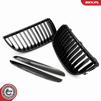 Grille de radiateur ESEN SKV 66SKV085 pour BMW Série 3 320 si - 173cv