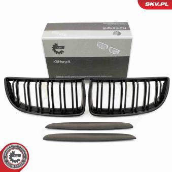 Grille de radiateur ESEN SKV 66SKV091 pour BMW Série 3 320 si - 173cv