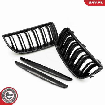 Grille de radiateur ESEN SKV 66SKV092 pour BMW Série 3 320 si - 173cv