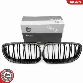 Grille de radiateur ESEN SKV 66SKV111