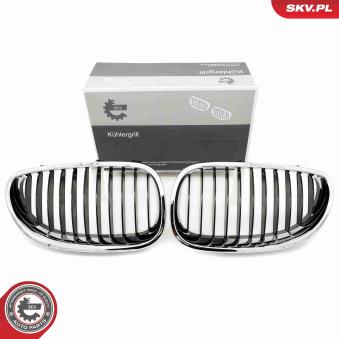 Grille de radiateur ESEN SKV 66SKV169