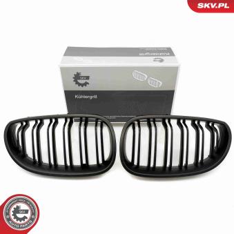 Grille de radiateur ESEN SKV 66SKV173 pour BMW Série 5 540 i - 306cv