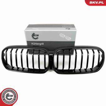 Grille de radiateur ESEN SKV 66SKV201