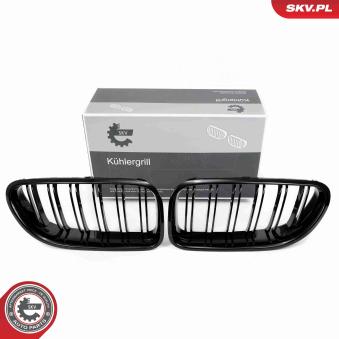 Grille de radiateur ESEN SKV 66SKV206 pour BMW Série 6 640 d - 313cv Grille de radiateur ESEN SKV 66SKV206 pour BMW Série 6 640 d - 313cv