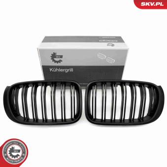 Grille de radiateur ESEN SKV 66SKV257 pour BMW X3 xDrive 35 d - 313cv