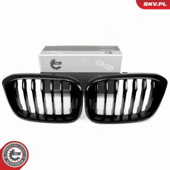 Grille de radiateur ESEN SKV OEM 51138091725