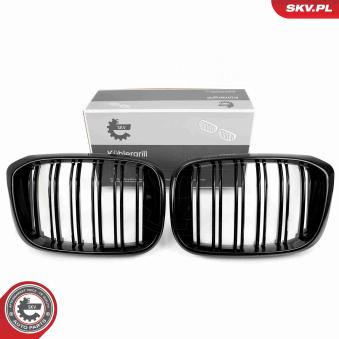 Grille de radiateur ESEN SKV [66SKV261]