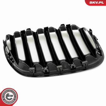 Grille de radiateur ESEN SKV 66SKV276 pour SKODA FABIA 3.0d - 184cv