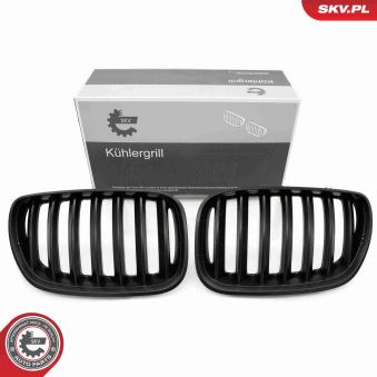 Grille de radiateur ESEN SKV 66SKV278