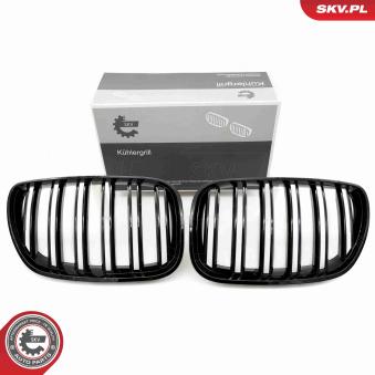 Grille de radiateur ESEN SKV 66SKV281 pour SKODA FABIA 3.0d - 184cv