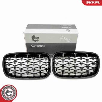 Grille de radiateur ESEN SKV 66SKV291 pour OPEL CORSA 3.0d - 235cv