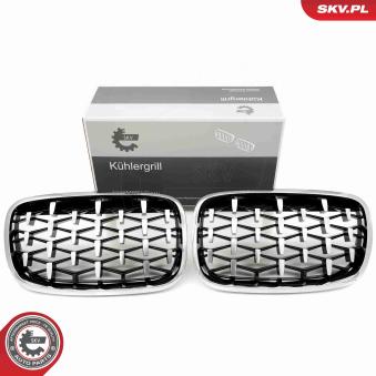 Grille de radiateur ESEN SKV 66SKV293 pour OPEL CORSA 3.0d - 235cv