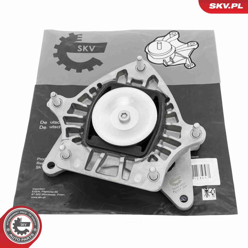 Suspension, boîte automatique ESEN SKV 75SKV822 - Visuel 1