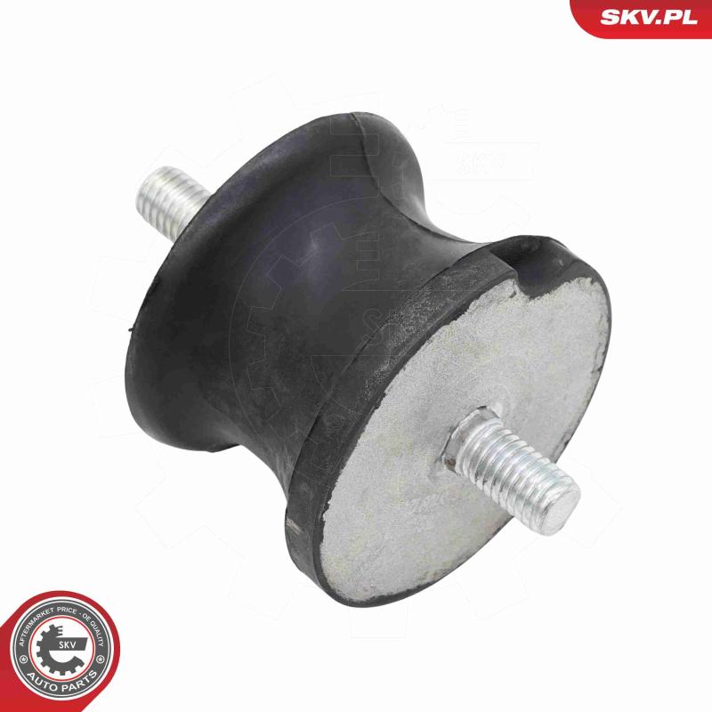 Suspension, boîte automatique ESEN SKV 75SKV842 - Visuel 1