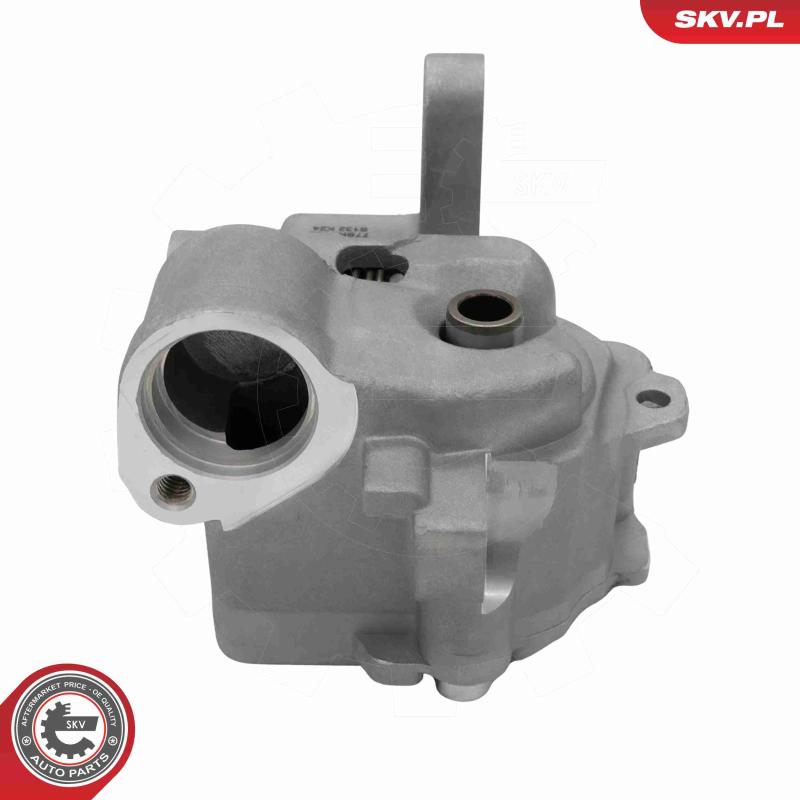 Pompe à huile ESEN SKV 77SKV005 - Visuel 1