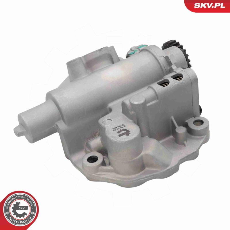 Pompe à huile ESEN SKV 77SKV032 - Visuel 2